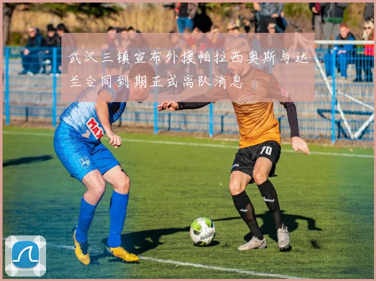 武汉三镇宣布外援帕拉西奥斯与达兰合同到期正式离队消息