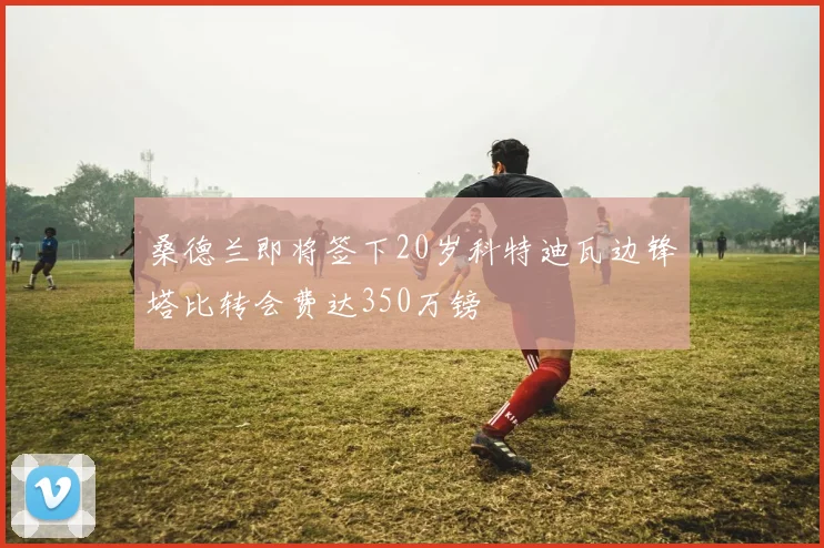 桑德兰即将签下20岁科特迪瓦边锋塔比转会费达350万镑
