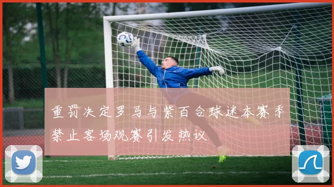 重罚决定罗马与紫百合球迷本赛季禁止客场观赛引发热议